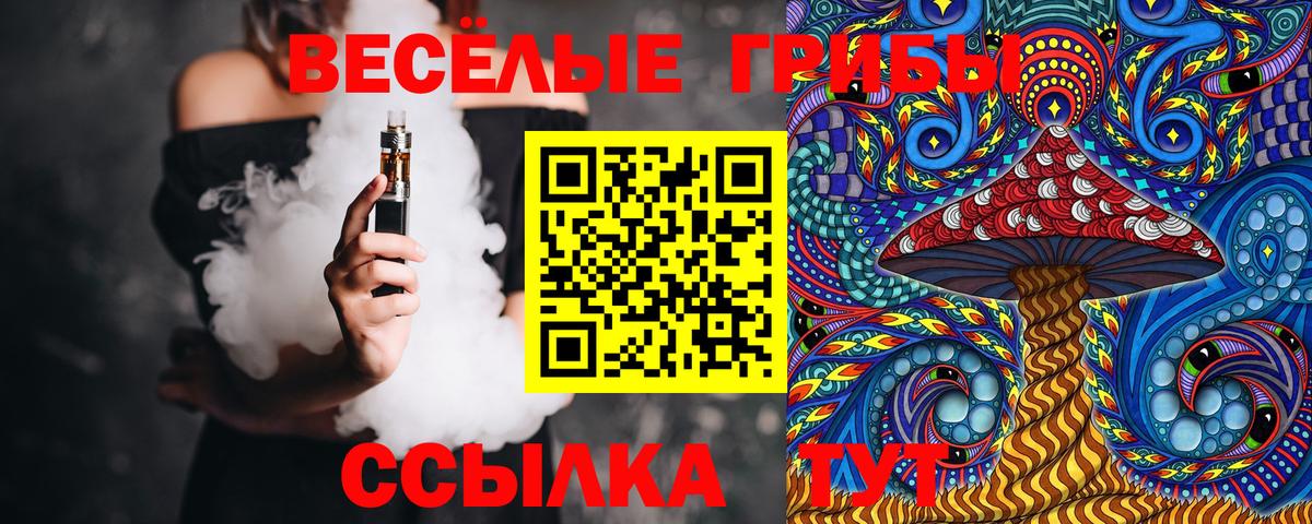 Щёкино  Псилоцибиновые грибы мухоморы  купить закладку  Вход с VPN 