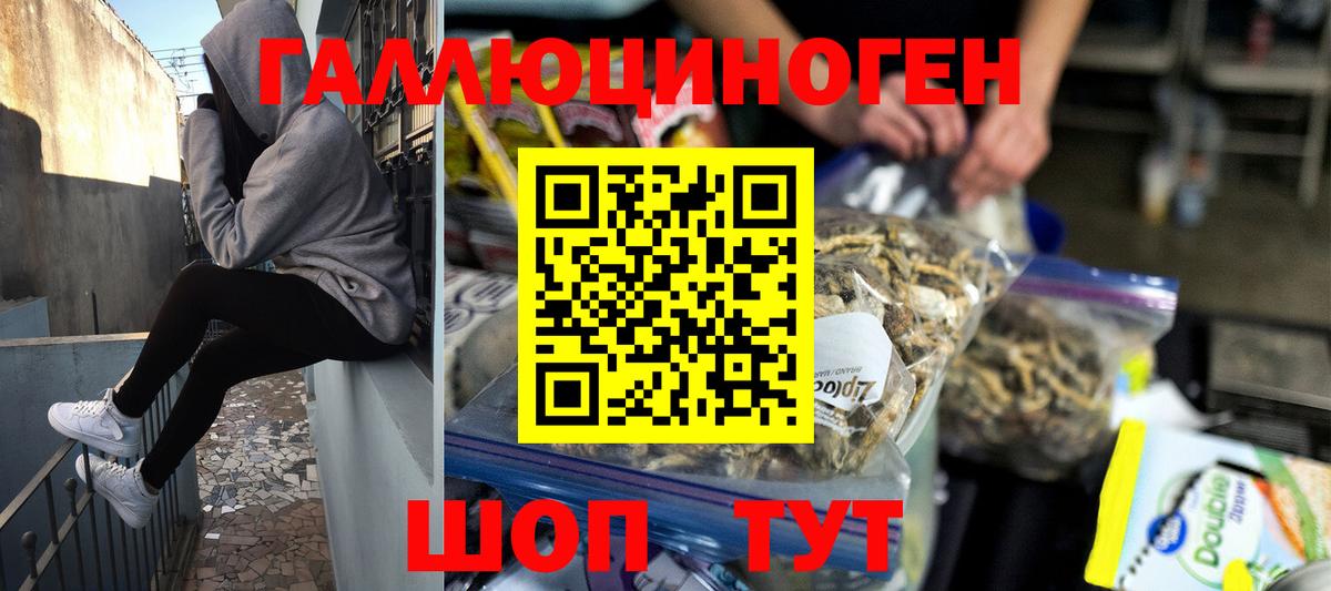Псилоцибиновые грибы прущие грибы Щёкино